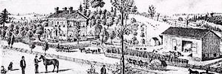 Plantation